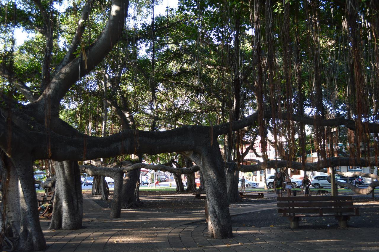 The Lahaina Beach House Pansiyon Dış mekan fotoğraf